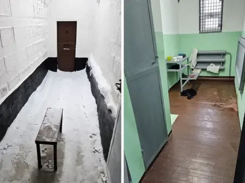 Examinations Show the opposition leader Suffered Poisoning While Incarcerated, His Wife Claims