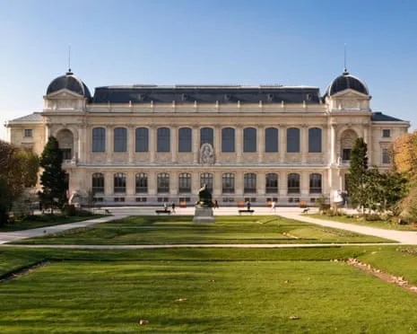 Historic Golden Specimens Snatched in Audacious Robbery at French Natural History Museum